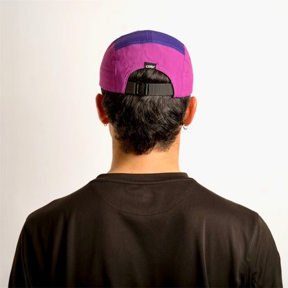 Celer Beta purple