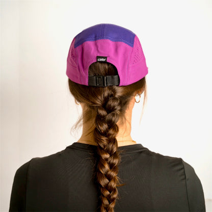 Celer Beta purple