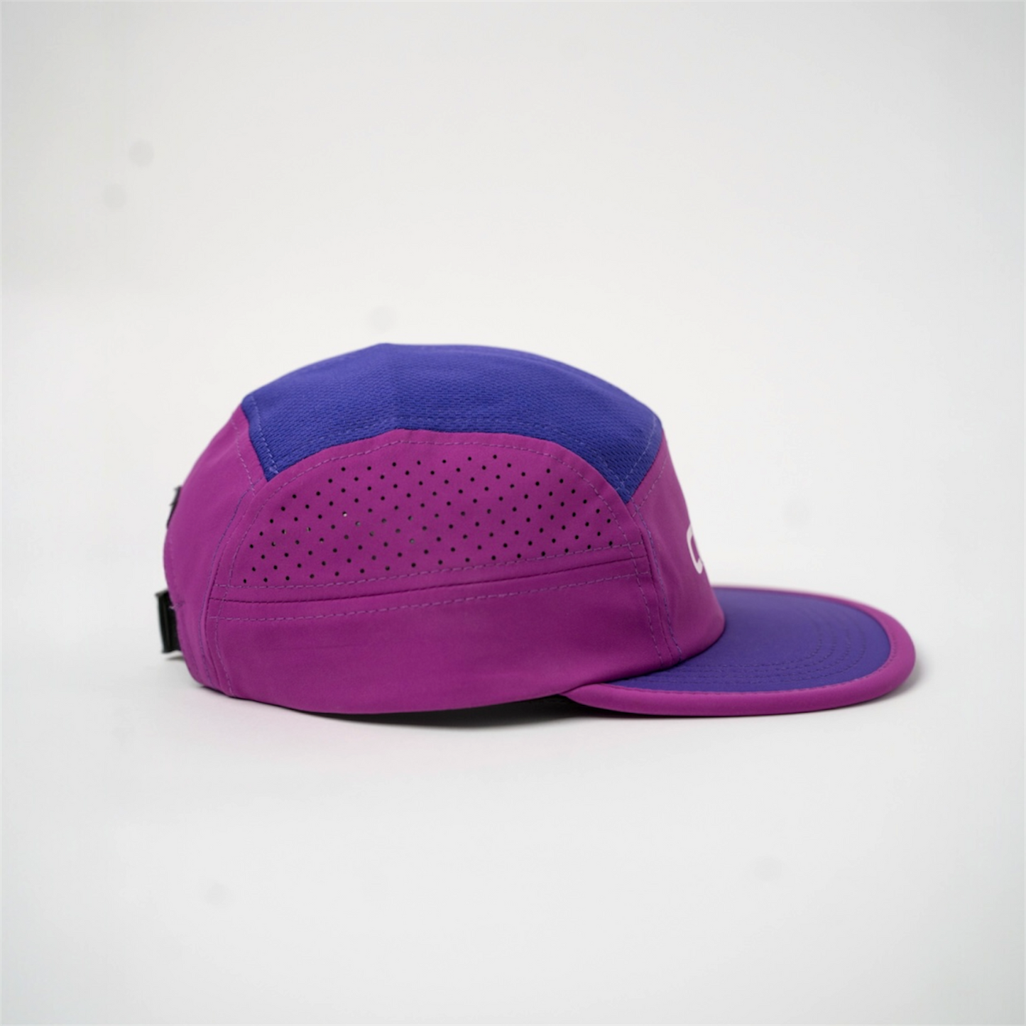 Celer Beta purple