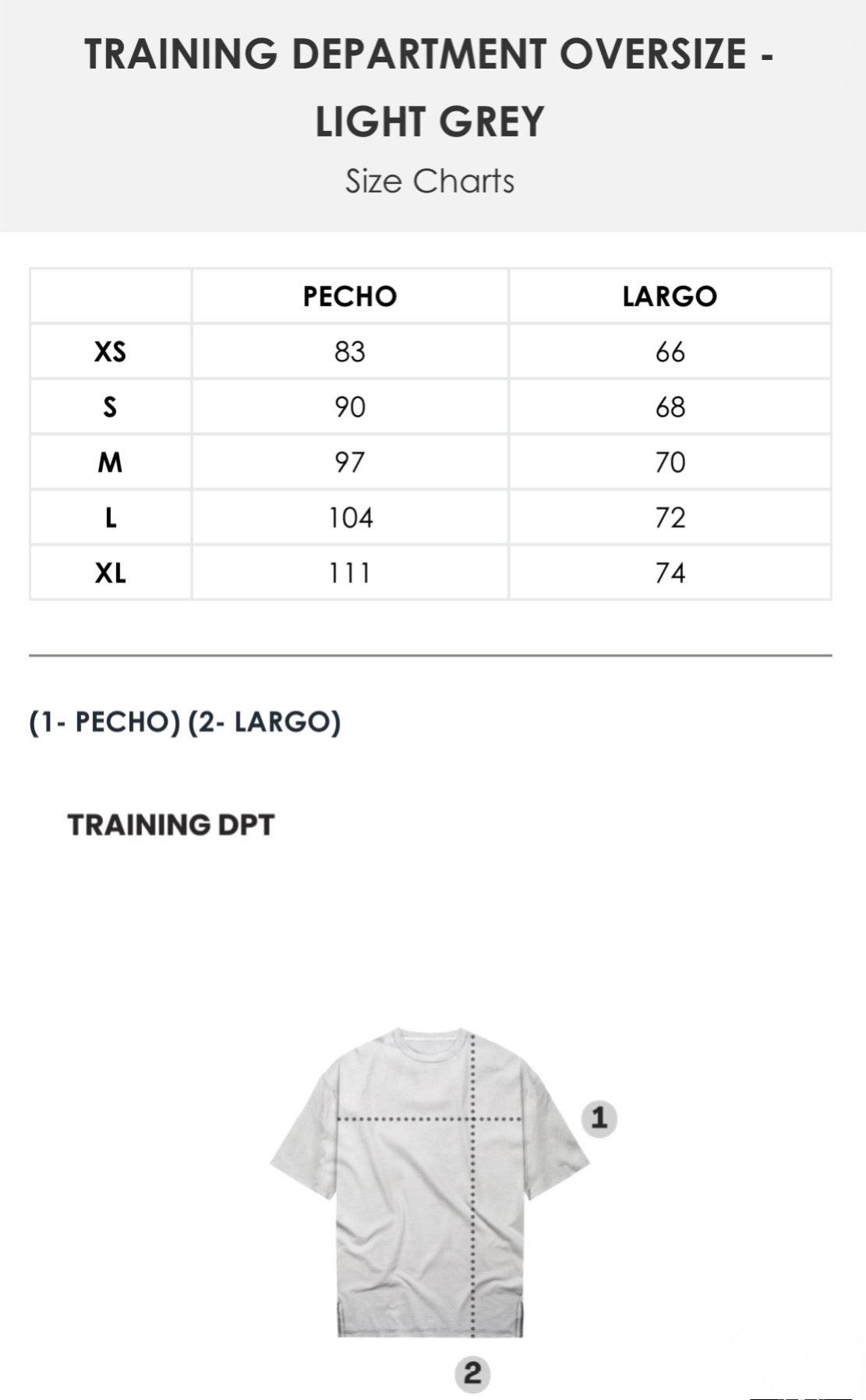 Training Dept. oversize light grey - Unbroken Fitness Shop