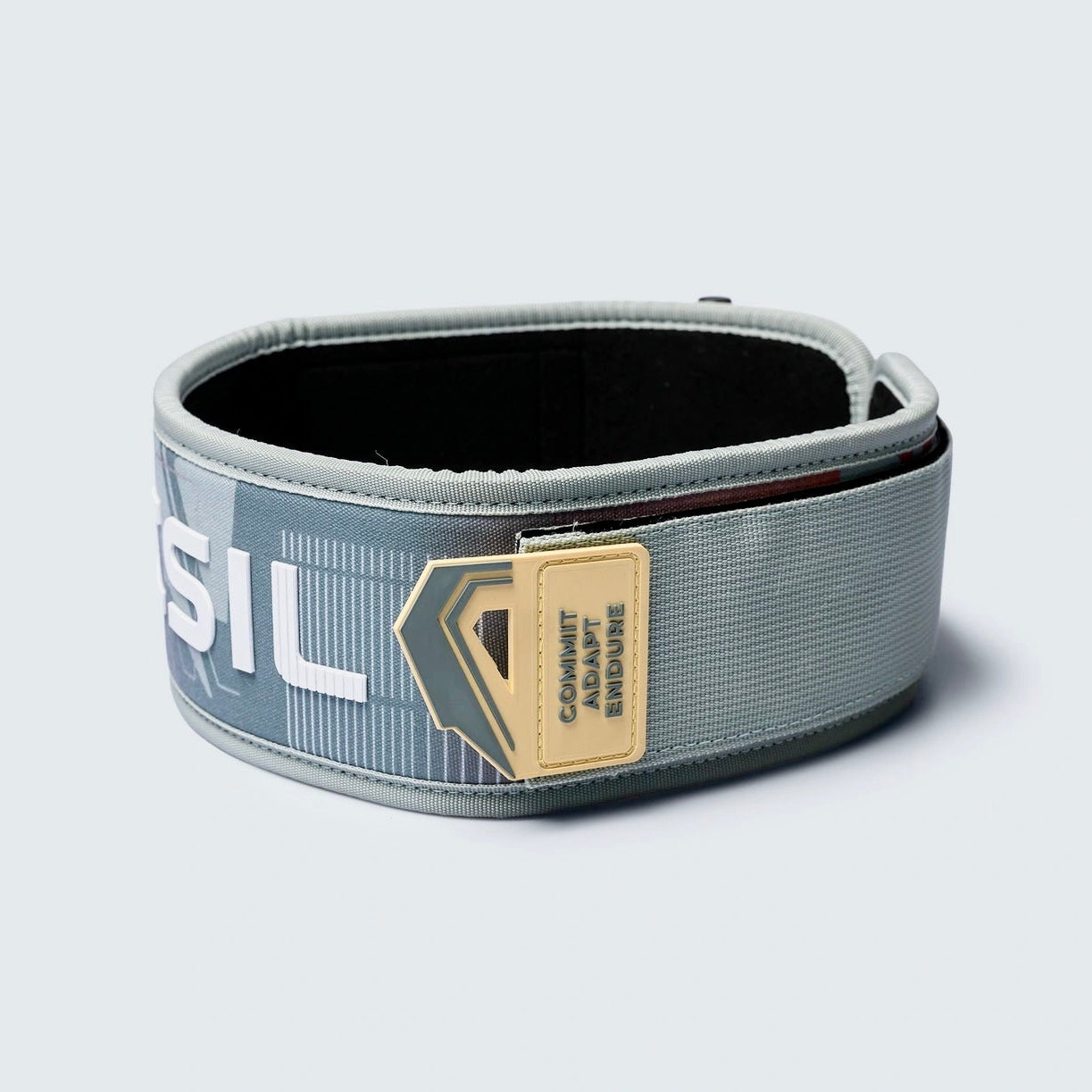 Cinto de samambaia Picsil LockPro