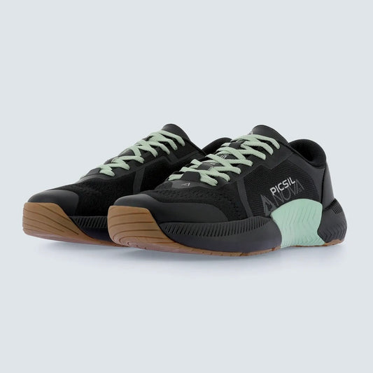 Picsil Nova01 moonless
