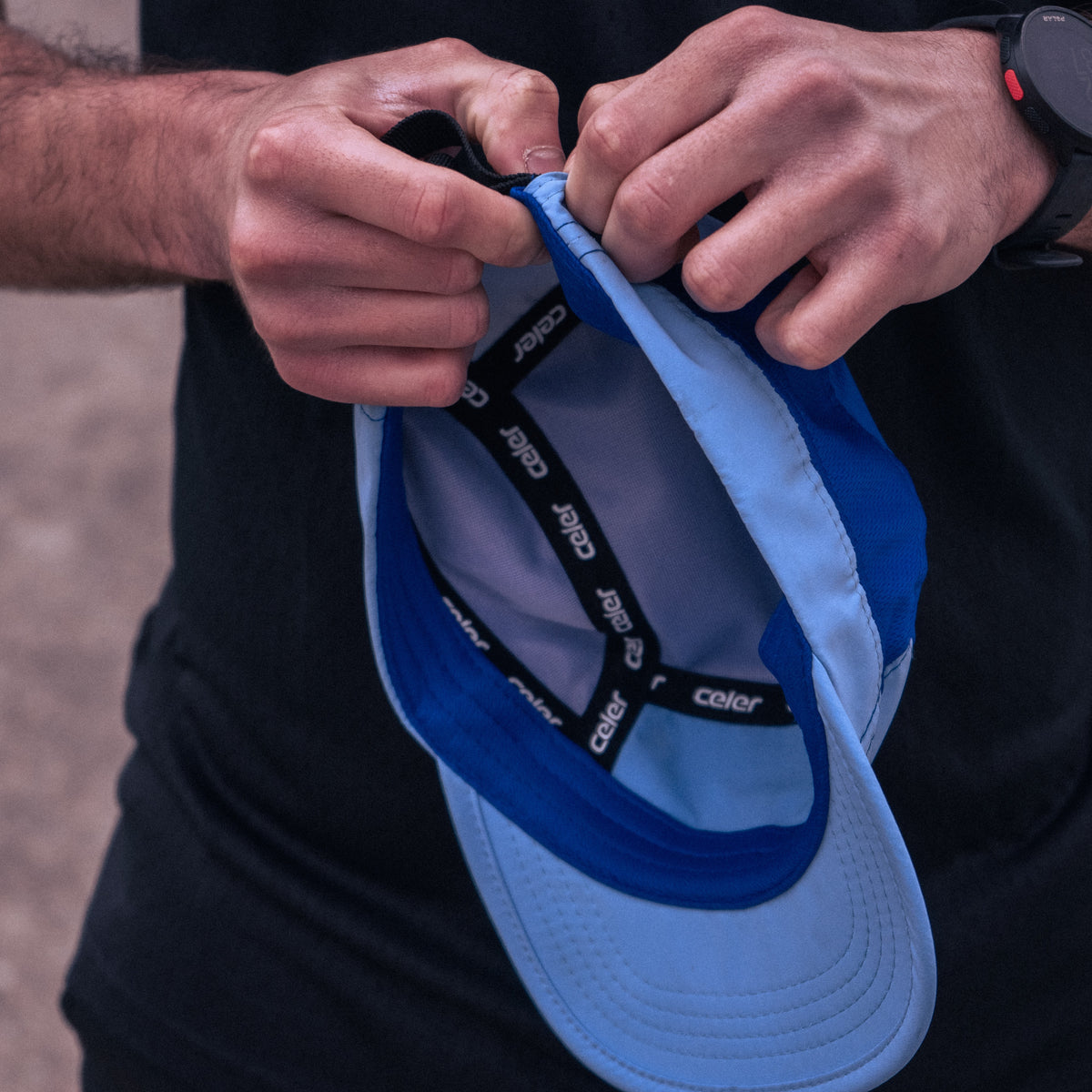 Celer Alpha blue