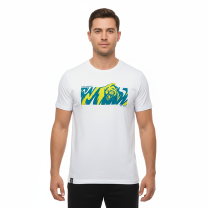 Projeto Gorilla Xoom