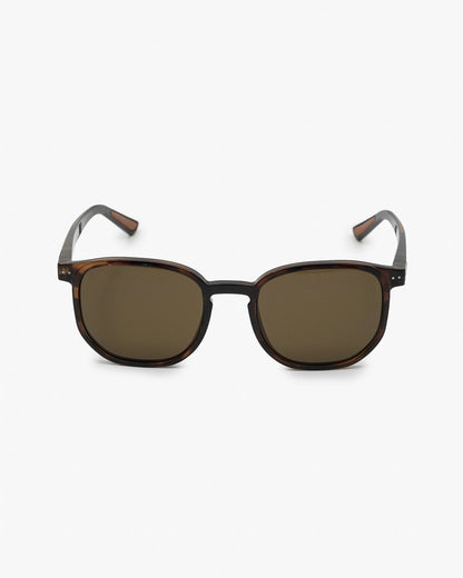 Horizon unisex carey brown Velites