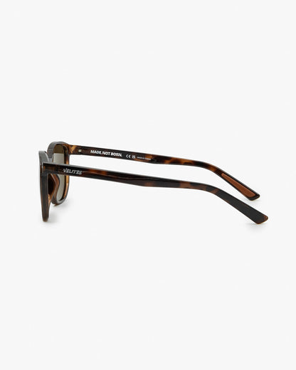 Horizon unisex carey brown Velites