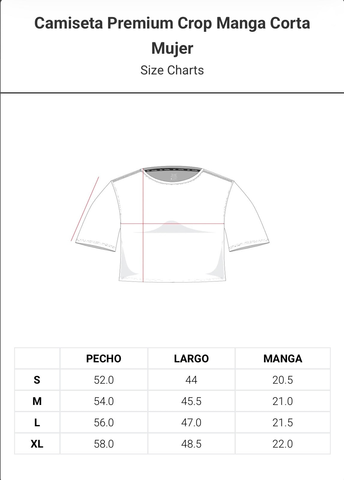 Picsil crop top Premium fern